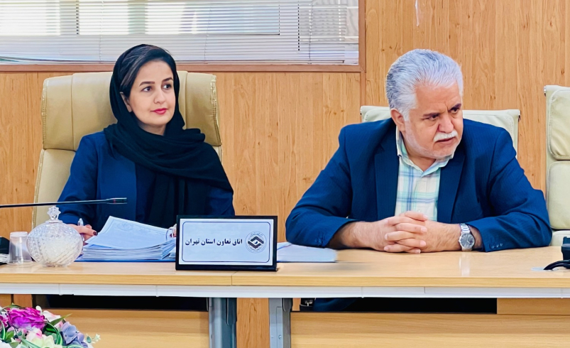 حضور دانشجویان حقوق دانشگاه بین‌المللی علامه عسگری در اتاق تعاون استان تهران با هدف ترویج فرهنگ تعاون و آشنایی با فرآیند داوری