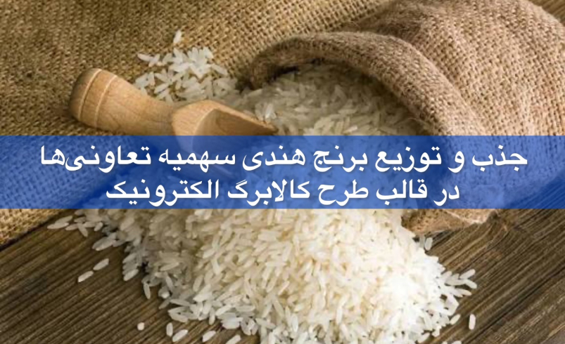 جذب و توزیع برنج هندی سهمیه تعاونی‌ها در قالب طرح کالابرگ الکترونیک